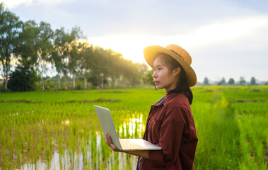 woman with laptop, farmers Thailand working in field, farmers holding laptop computer for work, Asian farmers 