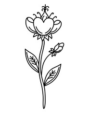 Flower line art illustration, PNG with transparent background.