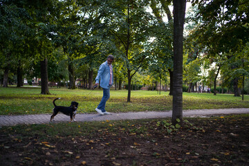 Fototapeta premium Mature man and mixed bread dog walking in park