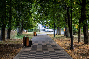 Paths in the park area. dirt road in the city park