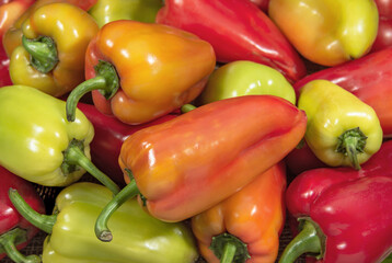 Colorful sweet bell peppers