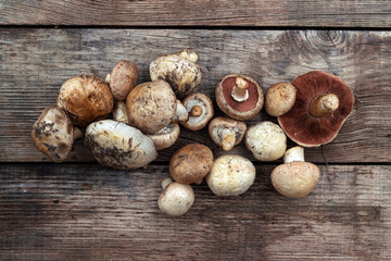 collection of mushrooms, champignons bunch on a wooden background