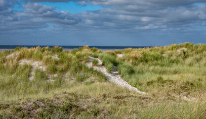 Blick über die Dünen auf Borkum
