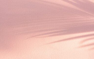soft sun light pastel color palm leaves blur smooth shadow on pink background.concept for summertime backdrop,healthskin care product,botanical design.