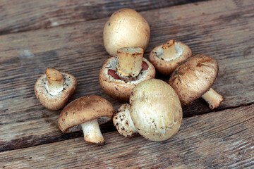 collection of mushrooms, champignons bunch on a wooden background