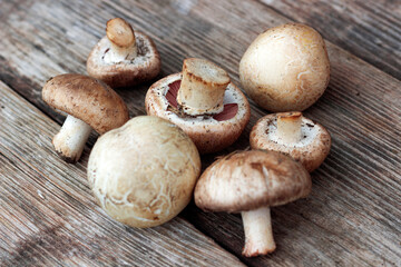 collection of mushrooms, champignons bunch on a wooden background
