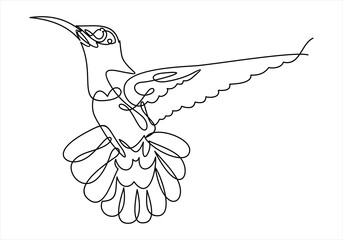Hummingbird. Continuous line.