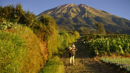 Magelang, Indonesia - September 15th 2022 : Defocused image of An Indonesian farmer walking on the roadto go to plantation on the slope of Mount Sumbing. 