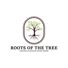 roots of the tree badge logo illustration template design