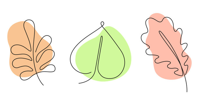 Lime-Tree Images – Browse 69,278 Stock Photos, Vectors, and Video ...