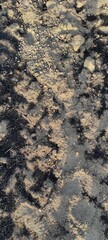 Burned soil and plants texture after wild fire 