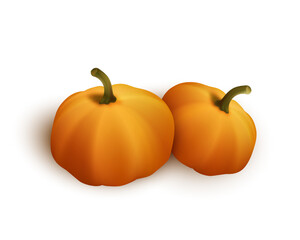 Two autumn orange pumpkins for halloween or thanksgiving celebration isolated on white background. Vector illustration