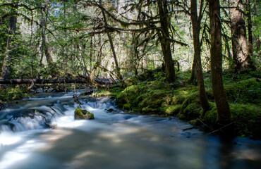 Long exposure of a river flowing down a small waterfall in a forest with shadows and sunlight.