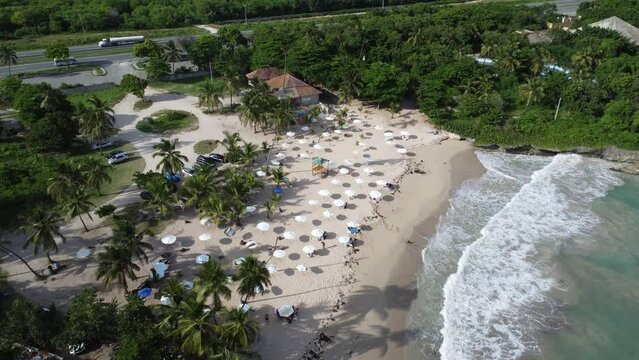 Caribbean beach, waves, umbrellas and plants