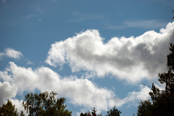 Obraz premium clouds in the sky