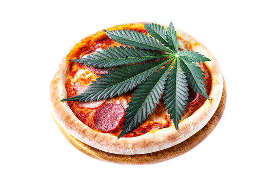 Homemade pizza with marijuana or cannabis leaves isolated on white background.Cannabis is a standoff between a drug and a medicine.cannabis decorate on pizza.