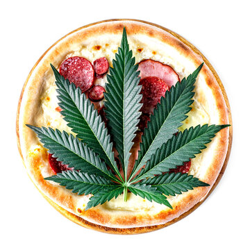 Homemade pizza with marijuana or cannabis leaves isolated on white background.Cannabis is a standoff between a drug and a medicine.cannabis decorate on pizza.