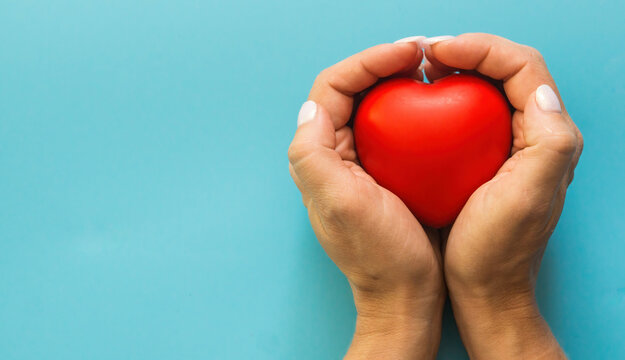 female hands squeeze a small red heart on a blue background.female patience, stress management, heart health care. Cardiac examination, heart surgery