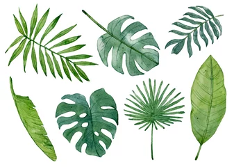 Fotobehang Tropische bladeren Aquarel set van groene tropische bladeren geïsoleerd op een witte achtergrond.