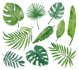 Watercolor set of green tropical leaves isolated on white background. Monstera, palm tree, banana leaves.