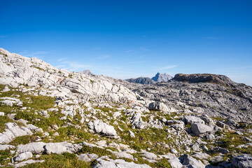 Fototapeta na wymiar Panorama picture of the Stony Sea in the Alps I