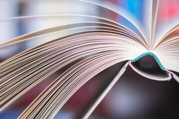 Opened book pages with soft blurred background, macro view