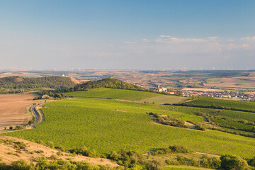Fototapeta premium View from Table mountain to Mikulov town in Moravia region. Palava. Czech Republic.