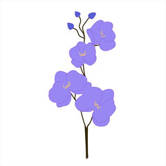 Fototapeta na wymiar Purple orchid flowers with branch hand drawn illustration. on white background. Isolated.