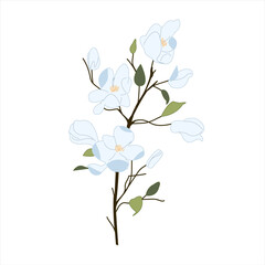 Magnolia with branch vector illustration for decoration