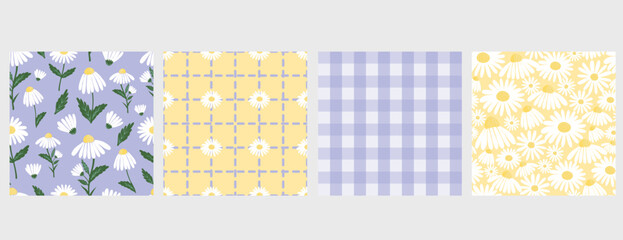 Daisy flower seamless pattern collection