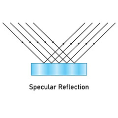 Specular reflection diagram. Scientific vector illustration isolated on white background.