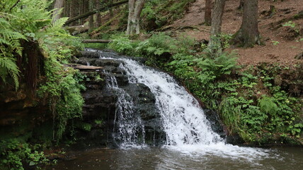 waterfall in the forest
