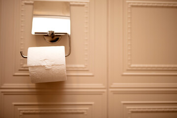 Roll of white toilet paper hanging 