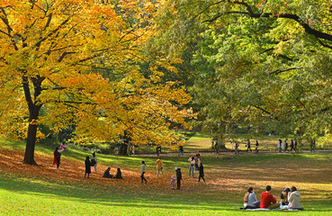 Warm sunny day in Central Park in autumn. New York City