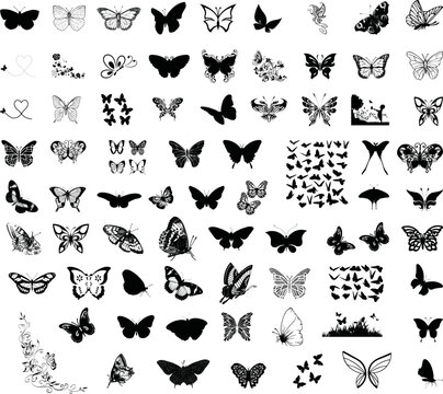 Butterfly Vector Mega Pack
