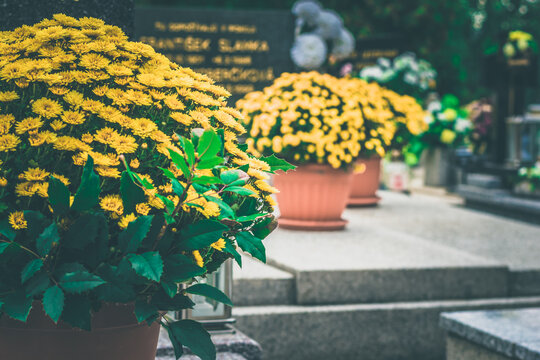 burrial floral decoration on the grave