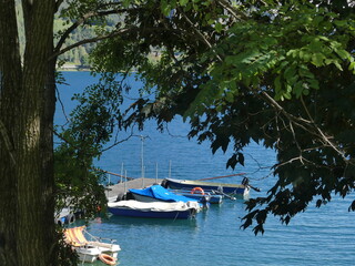 Boote an einem Steg in einem See unter einem Baum, Lago di Ledro, Italien