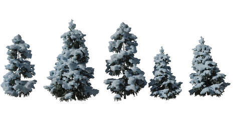 set of five snow-covered firs