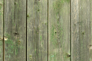 Large old fence made of boards. Green paint on boards. Old texture of fence.