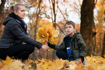 A young boy gives mother a bouquet of yellow leaves, kneels down and thinks about what to say, he apologizes to his mother because he offended her. Mom and son are hanging out in the park - obrazy, fototapety, plakaty