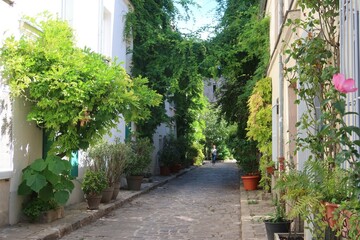 Pittoresque rue des Thermopyles dans la ville de Paris, ruelle pavée végétalisée, avec de nombreuses plantes vertes et des fleurs devant les façades des maisons (France)