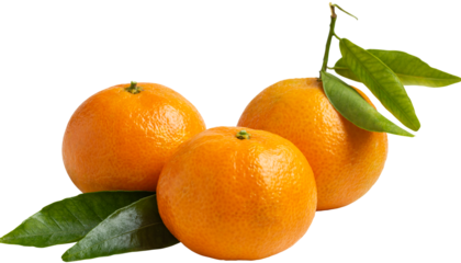 Fresh tangerines