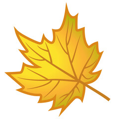 Naklejka na ściany i meble Autumn maple leaf illustration isolated