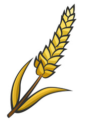 Wheat ear illustration isolated