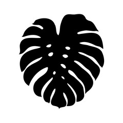 Exotic monstera. Continuous one-line drawing. Handmade summer tropical leaf on white background. Minimalist design. Maranta leaf.