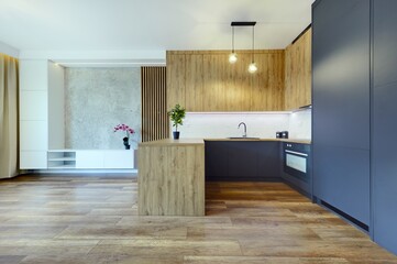 Salon z kuchnią w nowoczesnym stylowym apartamencie