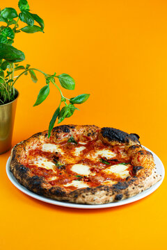 Pizza neapolitana. Bazylia