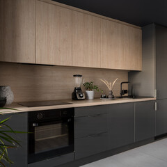 Contemporary designed kitchen