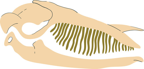 Marine animals and fish of the underwater world of the ocean