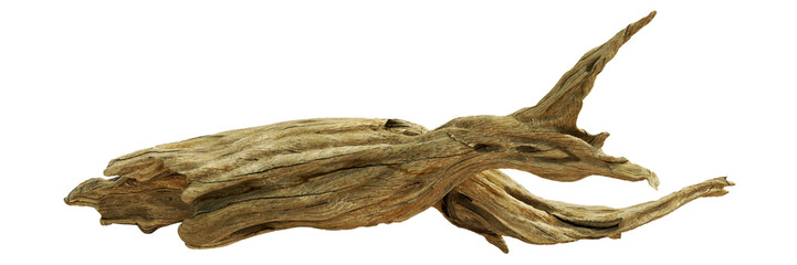 driftwood, beautiful dried wood isolated 